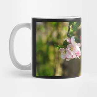 Blossom On Tree Branch (Closeup/Macro) - Spring Flowers Mug